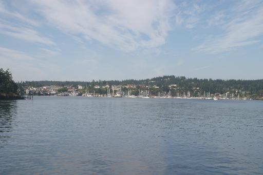 512x341 pixels (20K)