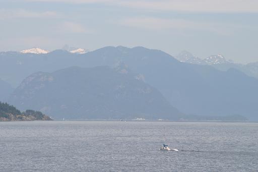 512x341 pixels (14K)
